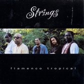 Flamenco Tropical