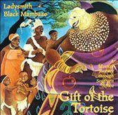 Gift Of The Tortoise: A Musical Journey Through...
