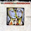 Bob & David Sanborn James - Double Vision