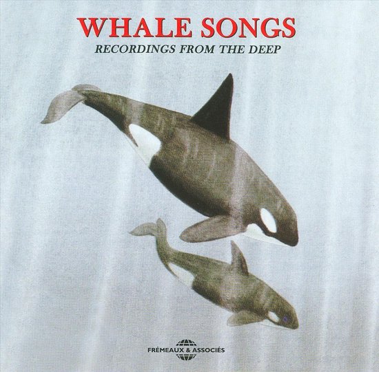 Whales Riddim Sound Effects - Whale Songs - Recordings From The Deep (CD), Sound ...