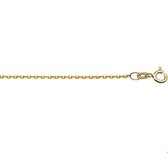 TFT Collier Geelgoud Anker 1,2 mm