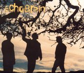 Echobrain