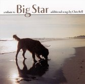 A Tribute To Big Star