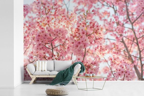 Papier peint Papier peint photo en vinyle - Fleur de cerisier au Japon largeur 420 cm x hauteur 280 cm - Tirage photo sur papier peint (disponible en 7 tailles)