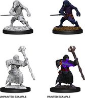 Dungeons and Dragons: Nolzur's Marvelous Miniatures -¬†Kenku Adventures