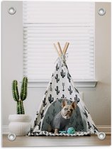 Tuinposter – Hondje in een Tent  - 30x40cm Foto op Tuinposter  (wanddecoratie voor buiten en binnen)