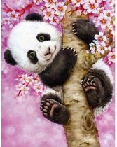 Painting Expert® Schilderen op nummer Volwassenen - Schilderen op nummer Kinderen - Panda - 40x50cm - Exclusief Lijst (24 kleurtjes)