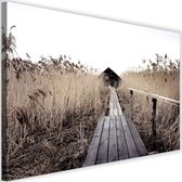 Schilderij Oude brug in hoog riet, 2 maten, bruin, Premium print