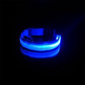Collier lumineux pour chiens - LED bleue - Taille 45-52 cm - Collier de sécurité avec lumière LED bleue - Rechargeable par USB - Câble USB inclus