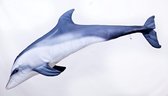 Gaby - Vis Kussen Dolfijn / Tuimelaar 55cm