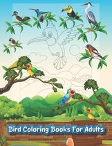Bird Coloring Books For Adults