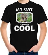 Bruine kat katten / poezen t-shirt my cat is serious cool zwart voor kinderen L (146-152)