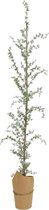 Mini kerstboom tafelboom Larix papier l20b20h170 cm groen/wit
