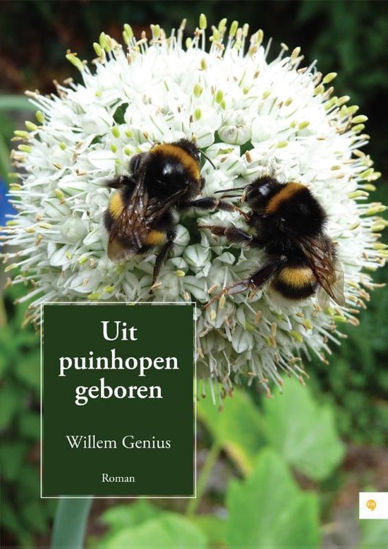 Cover van het boek 'Uit Puinhopen Geboren' van Willem Genius
