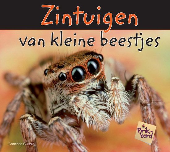 Prikbord - Zintuigen van kleine beestjes