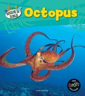 Dieren in beeld  -   Octopus