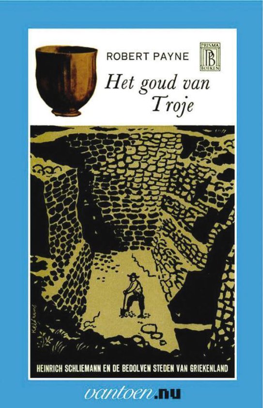 Cover van het boek 'goud van Troje'