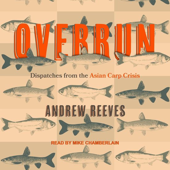Overrun - cover