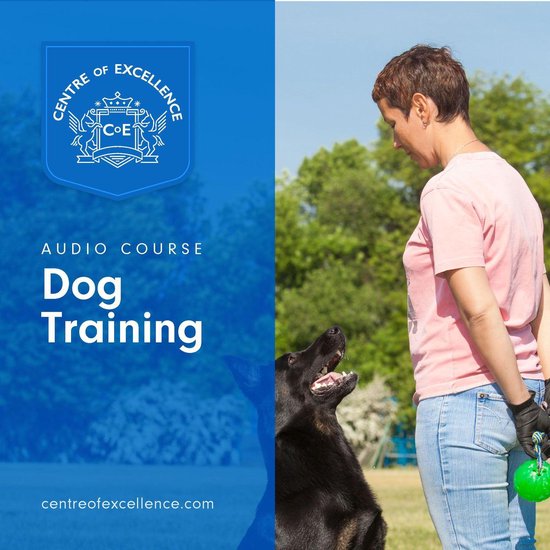 Dog Training - cover