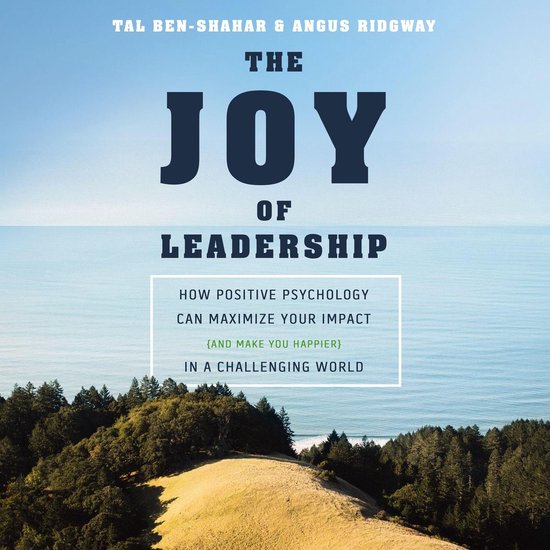 The Joy of Leadership - cover