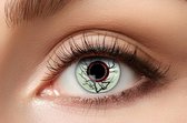 ShowTime Lens Takken 3 Maanden