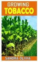 Growing Tobacco