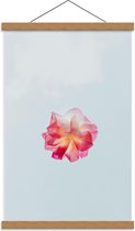 Schoolplaat – Roze/Witte Bloem - 40x60cm Foto op Textielposter (Wanddecoratie op Schoolplaat)