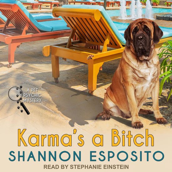 Karma's A Bitch - cover