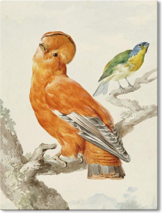 Canvas Schilderij Twee Exotische Vogels - Aert Schouman - 70x100 cm