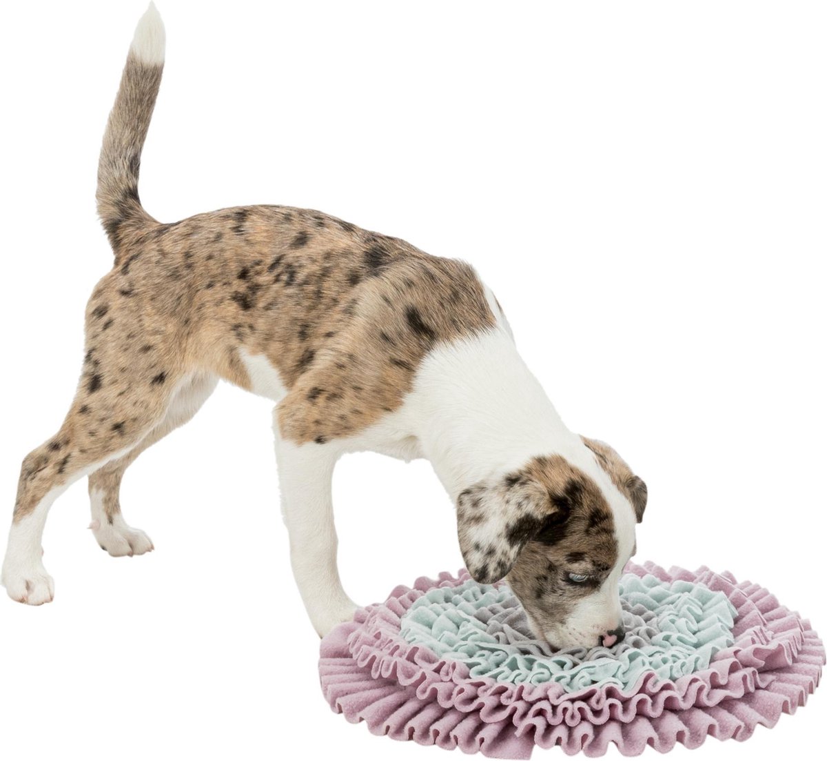 Honden of katten snuffelmat oa voor puppy's - junior - Afmetingen: ø 38 cm