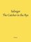 Salinger - The Catcher in the Rye - Gil Scott
