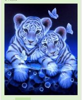 Diamond Painting Leeuwwelpjes 30x40 Vierkante steentjes