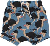 Dear Sophie Shorts |LORD OSTRICH| maat 110/116
