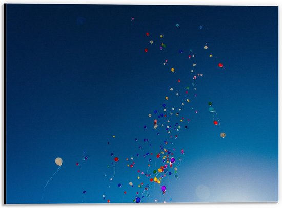Dibond - Tros Gekleurde Ballonnen in de Lucht - 40x30cm Foto op Aluminium (Met Ophangsysteem)