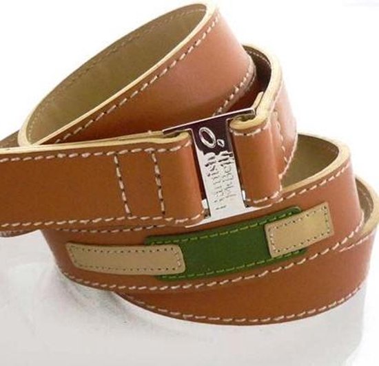 Paramount Network Hundeleine – Mit Gelbstein-Patches, 122 Cm Lang, 3,8 Cm Breit, Braun-rot-gelb, Aus Robustem Polyester
