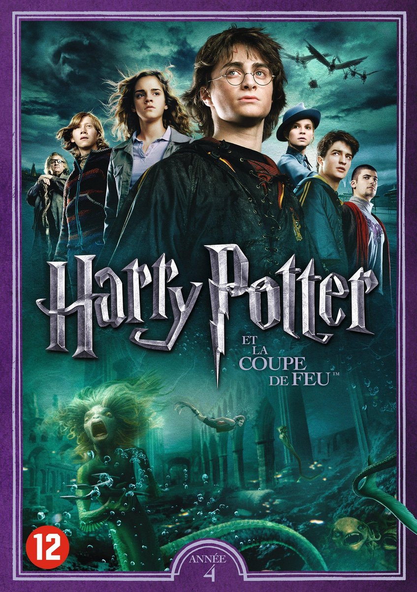 Affiche du film Harry Potter et la Coupe de Feu - acheter Affiche du film Harry  Potter et la Coupe de Feu (6797) 