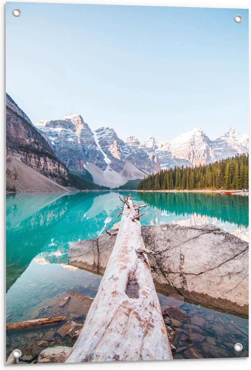 Tuinposter – Boomstam bij Meer onder aan de Berg - 60x90cm Foto op Tuinposter (wanddecorat