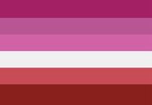 Vlag - Sticker - Lesbische vlag - Regenboog - Gay - LGBT - Lesbian