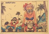 Dragon Ball Bulma in Bikini Vintage Anime Poster 51x35cm