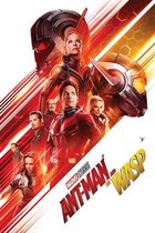 Pyramid Ant-Man and the Wasp One Sheet  Poster - 61x91,5cm