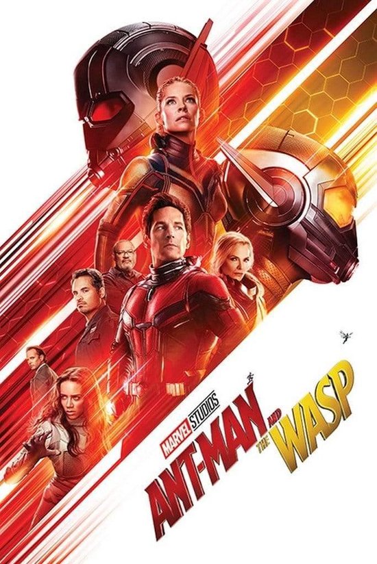 Poster Ant-Man and the Wasp One Sheet 61x91,5cm