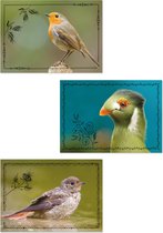 BIRD ansichtkaarten - set van 3 kaarten met vogelfoto's