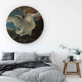 Muurcirkel van de bedreigde zwaan - 70x70cm inclusief ophangsysteem