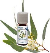 Venta Bio-Eucalyptus 3x10 ml