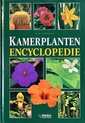 Geillustreerde kamerplanten encyclopedie