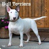 Bull Terriers Kalender 2021