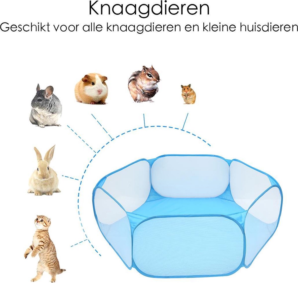 Konijnenren Blauw thumbnail 3