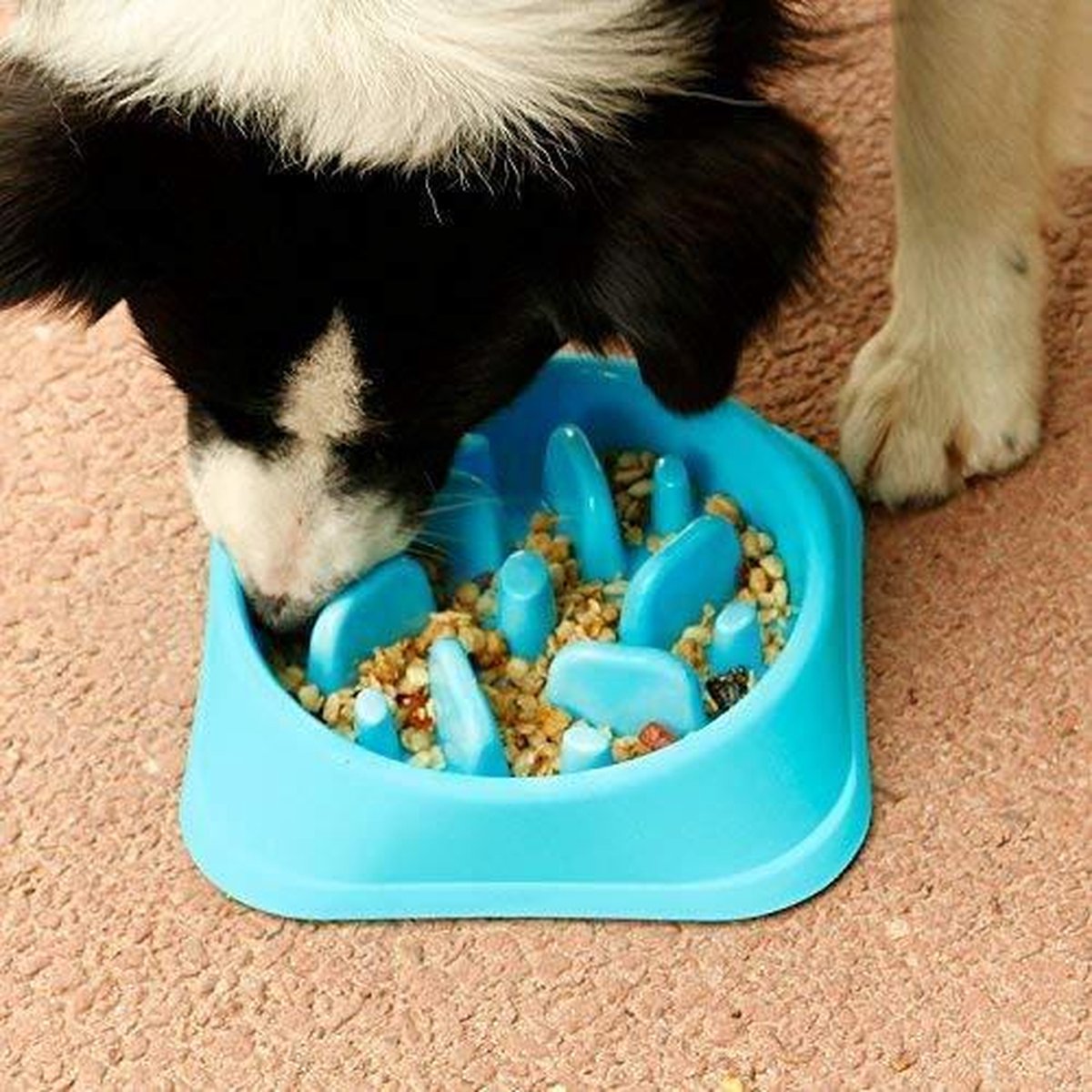 Anti-Schrokbak voor Honden - Voordelen, Veiligheid & Beste Keuze