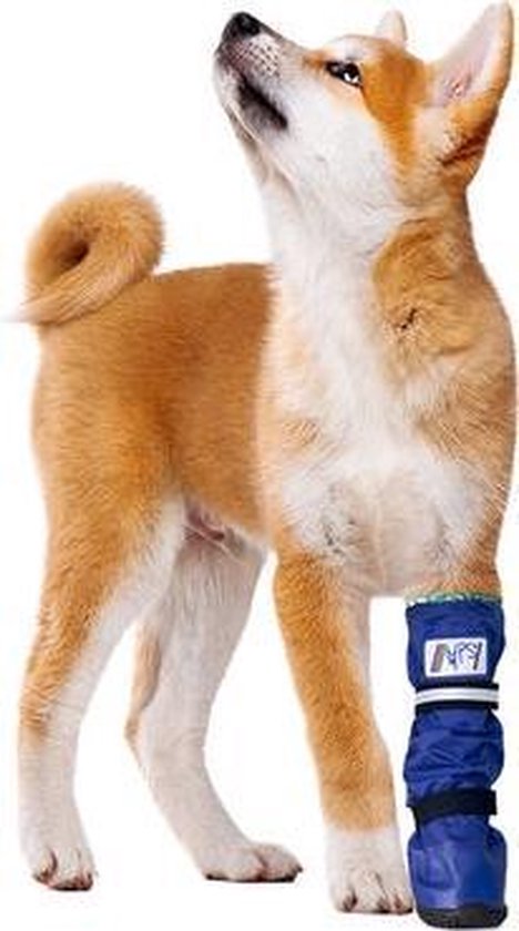 Medical PetS Boot - L