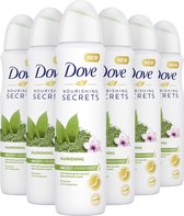 Dove Matcha & Sakura Anti-transpirant Deodorant - 6 x 150 ml - Voordeelverpakking